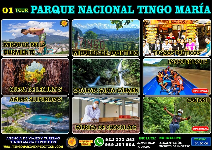 TOUR TINGO MARIA